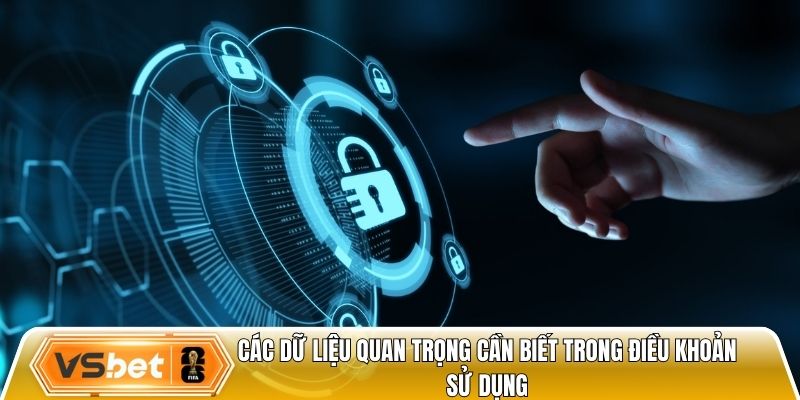Các dữ liệu quan trọng cần biết trong điều khoản sử dụng